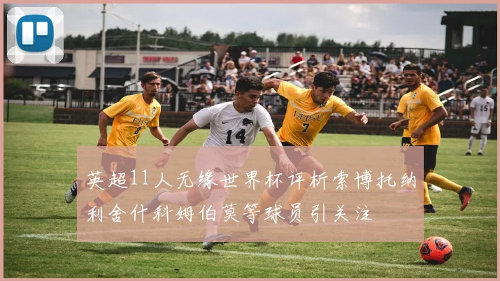 英超11人无缘世界杯评析索博托纳利舍什科姆伯莫等球员引关注