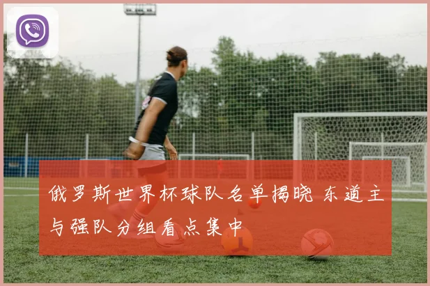 俄罗斯世界杯球队名单揭晓 东道主与强队分组看点集中